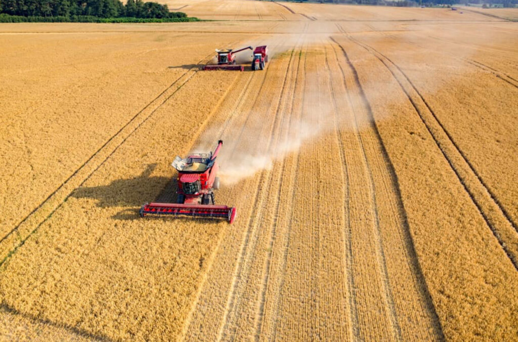 Monoculture, Farming